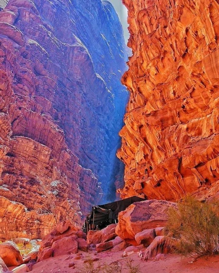 Tamim Luxury Wadi Rum Camp Bagian luar foto